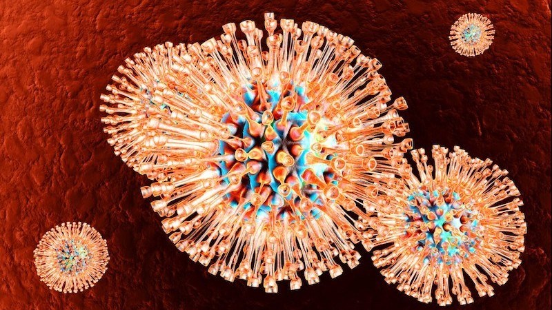 Virus Herpes simplex dễ lây truyền từ người này sang người khác