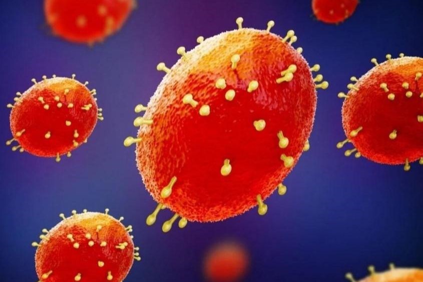 Bệnh đậu mùa khỉ chủ yếu lây qua đường hô hấp