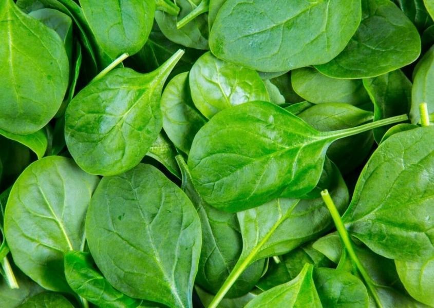 Ăn rau chân vịt thường xuyên giúp mẹ bầu bổ sung các loại vitamin một cách kịp thời. Nguồn từ daraz.pk