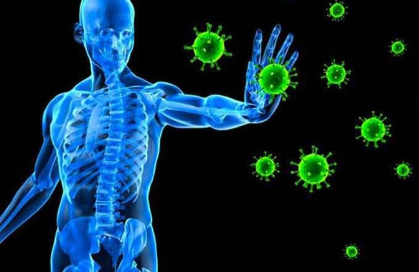 Thúc đẩy và tăng cường hệ miễn dịch