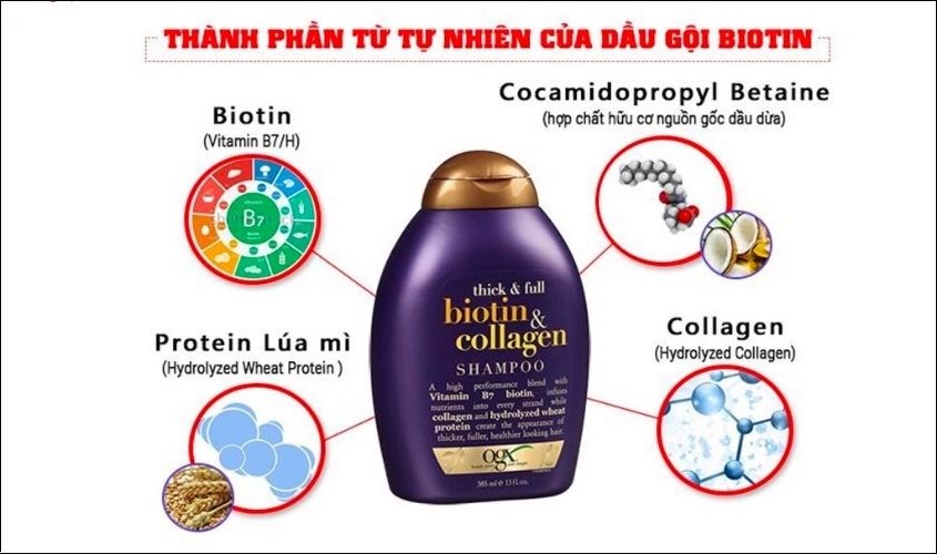 Thành phần tự nhiên trong dầu gội Biotin