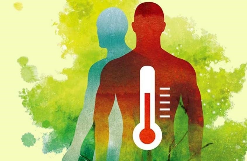 Dầu mè làm giảm nhiệt độ của cơ thể