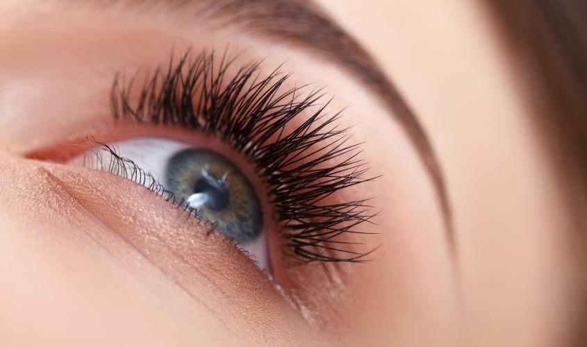 Bạn có thể dưỡng lông mi bằng dầu mè