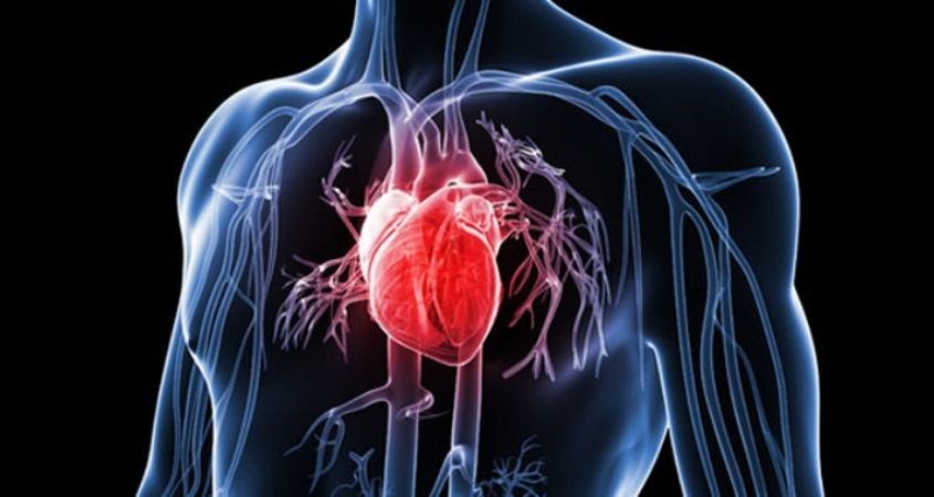 Vitamin K tăng cường sức khỏe hệ tim mạch