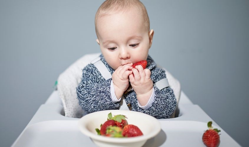 Bé không cảm nhận được kết cấu của thực phẩm khi dùng túi nhai