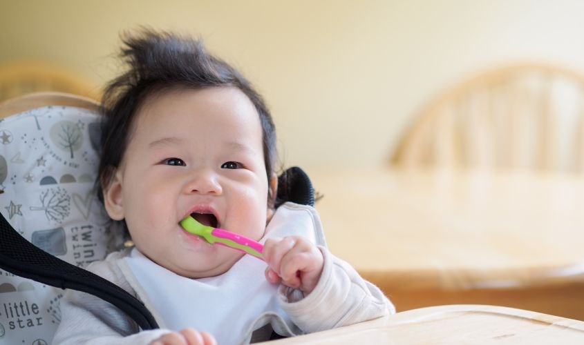 Túi nhai chỉ phù hợp với giai đoạn bắt đầu ăn dặm