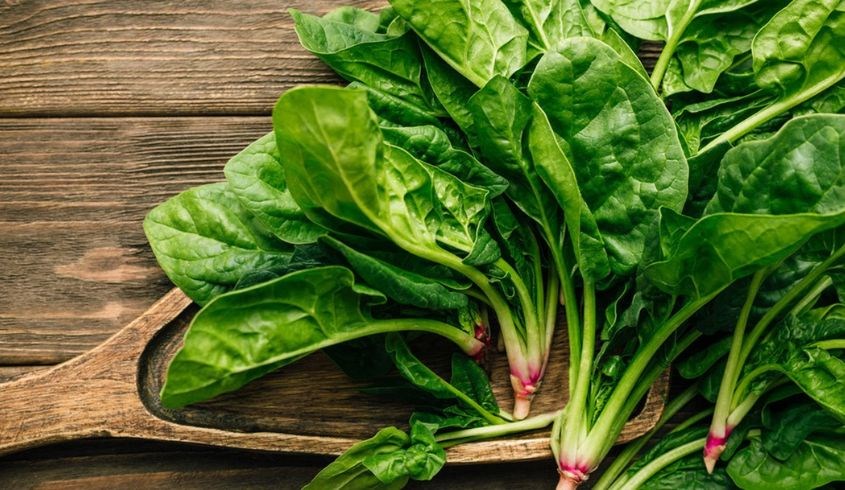 Cải bó xôi có chứa nhiều chất có ích cho cơ thể