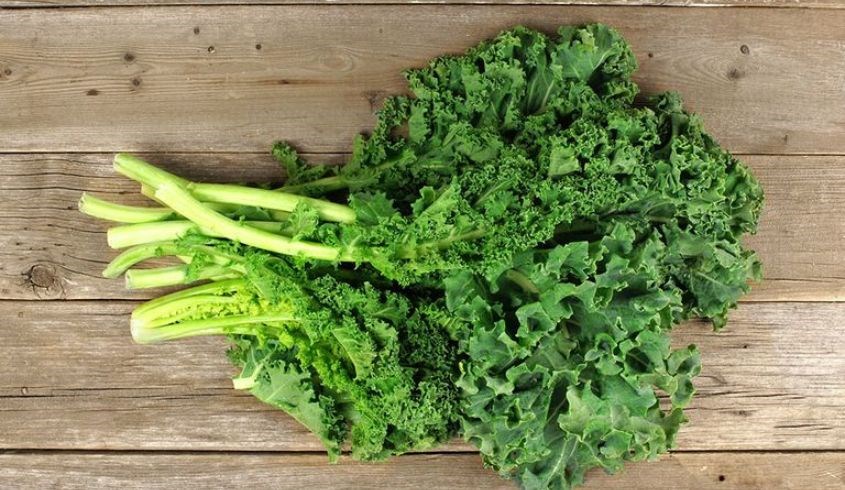 Phần lớn thành phần các chất bên trong rau cải xoăn là vitamin K