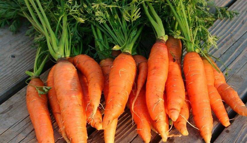 Ăn cà rốt mỗi ngày giúp bổ mắt và cơ thể