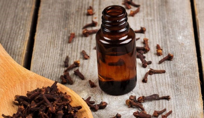 Đinh hương là một loại gia vị có mùi thơm đặc biệt