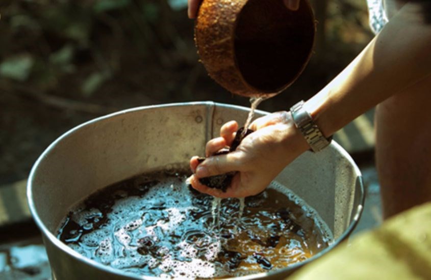 Bồ kết có tác dụng giúp hồi phục tóc hư tổn và giảm bết rít Bồ kết có tác dụng giúp hồi phục tóc hư tổn và giảm bết rít