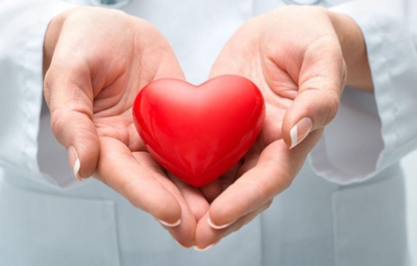 làm giảm hấp thu cholesterol vào máu và nguy cơ mắc bệnh mạch vành