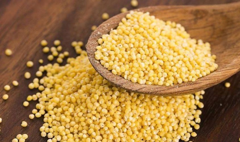 Hạt kê chứa nhiều canxi giúp xương khớp chắc khỏe Hạt kê chứa nhiều canxi giúp xương khớp chắc khỏe