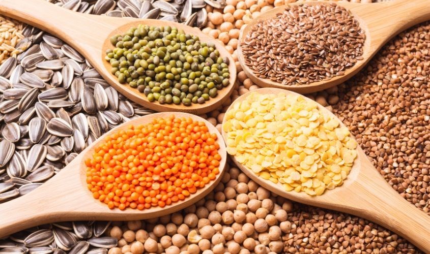 Ngũ cốc là nguồn cung cấp dinh dưỡng lành mạnh Ngũ cốc là nguồn cung cấp dinh dưỡng lành mạnh