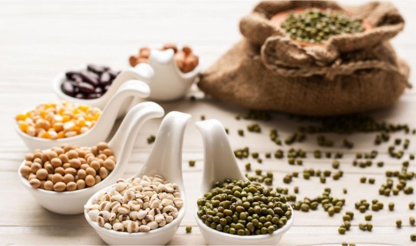 Các loại đậu là thực phẩm quen thuộc trong ngũ cốc Các loại đậu là thực phẩm quen thuộc trong ngũ cốc