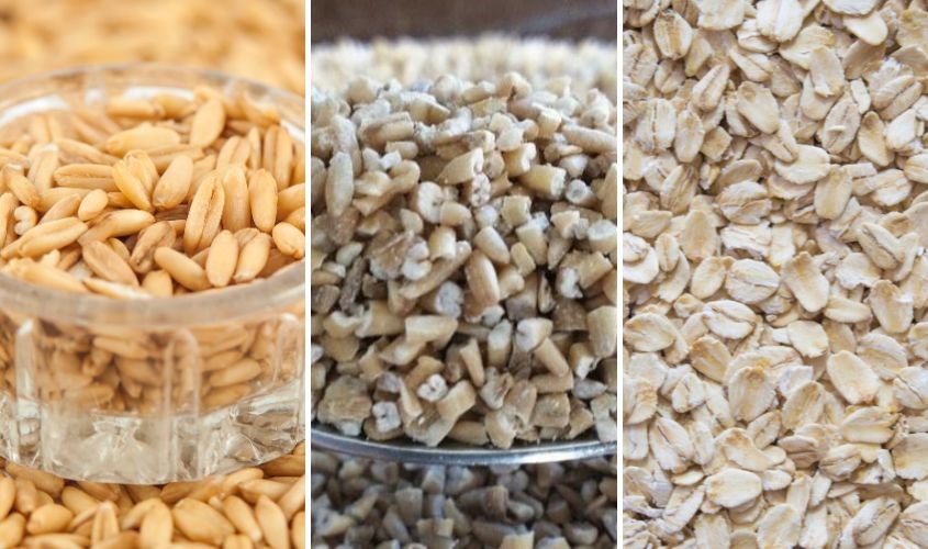 Các loại yến mạch trên thị trường hiện nay