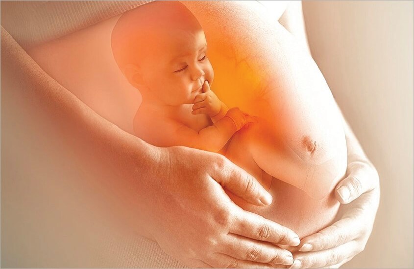 Cung cấp dinh dưỡng kép cho mẹ và bé