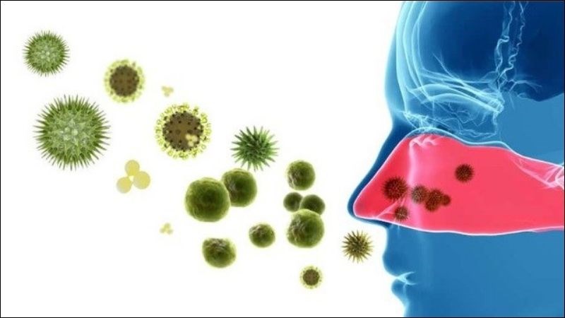 Viêm xoang do vi khuẩn có thể lây từ người này sang người khác 