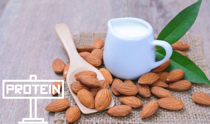 Hạnh nhân có chứa hàm lượng Protein cao