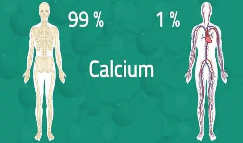 Hàm lượng canxi huyết trong cơ thể tăng