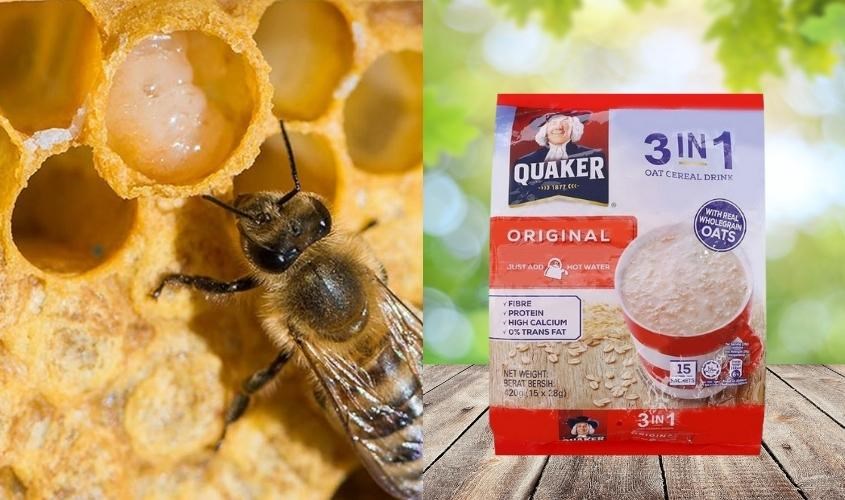 Đắp mặt nạ sữa ong chúa cùng yến mạch nguyên chất cán mỏng vị truyền thống Quaker 420g