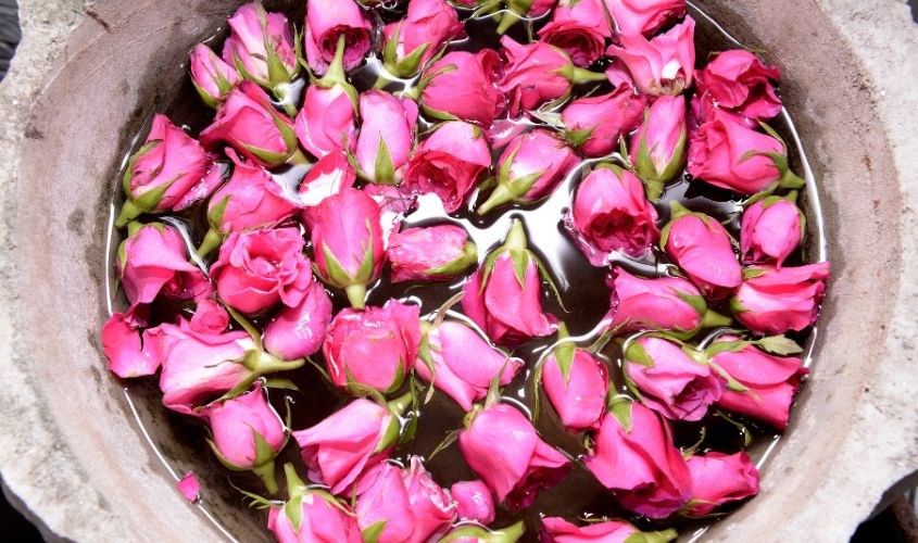 Ưu nhược điểm của nước hoa hồng tự làm