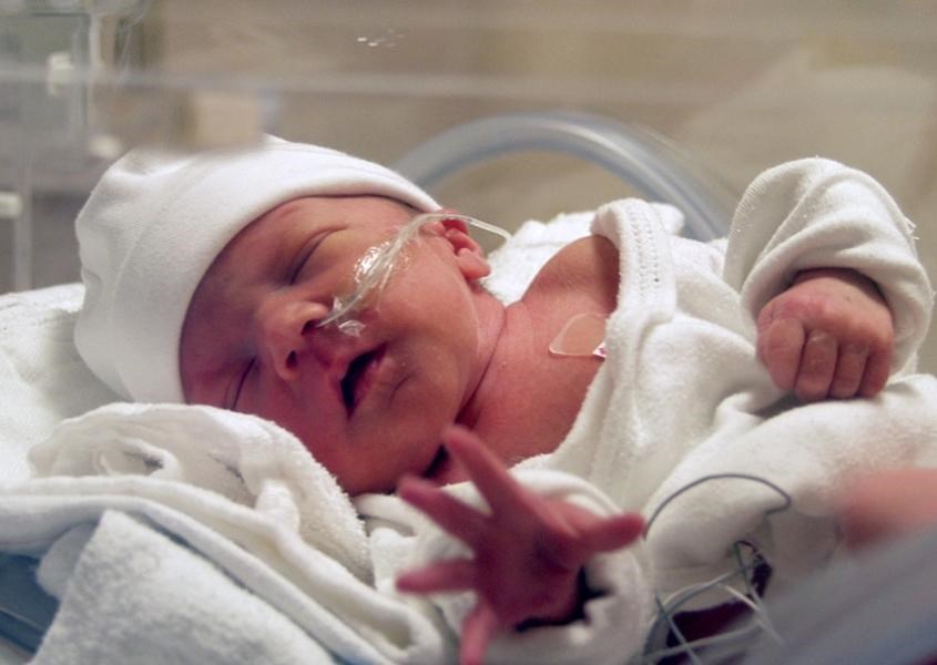 Trẻ sinh non phát triển khỏe mạnh sẽ cho thấy sự tăng trưởng rõ rệt về cân nặng, chiều cao và chu vi vòng đầu. Nguồn từ Raising Children Network