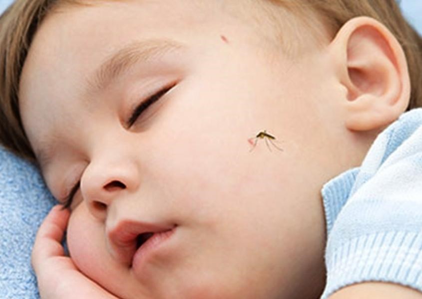 05 mẹo trị muỗi đốt cho trẻ mới biết đi. Nguồn từ Momjunction