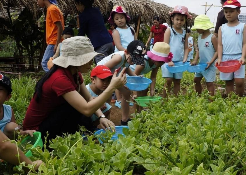 Trường mầm non Song ngữ Sân Lá Cọ. Nguồn từ mầm non Sân Lá Cọ