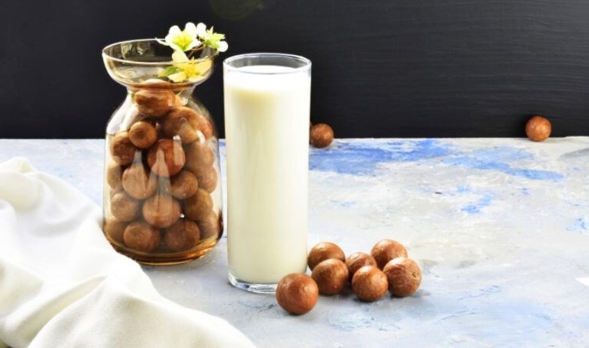 Sữa hạt mắc ca chứa chất béo có lợi cho cơ thể nên không gây tăng cân