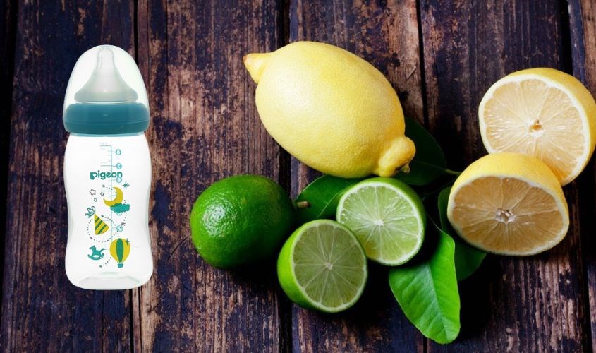 Bình sữa nhựa PP Pigeon Plus cổ rộng 240 ml xanh