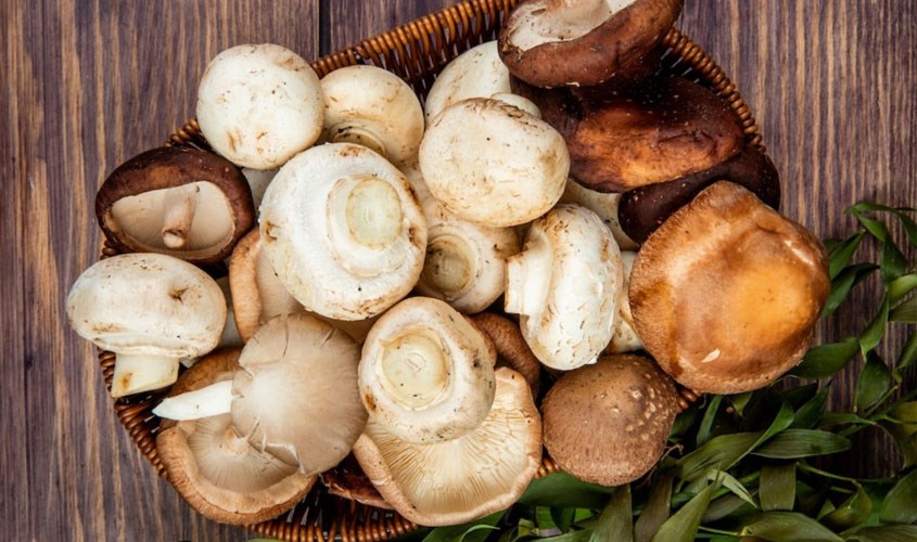 Nấm tự nhiên có tiếp xúc nhiều với tia cực tím nên chứa nhiều hàm lượng vitamin D