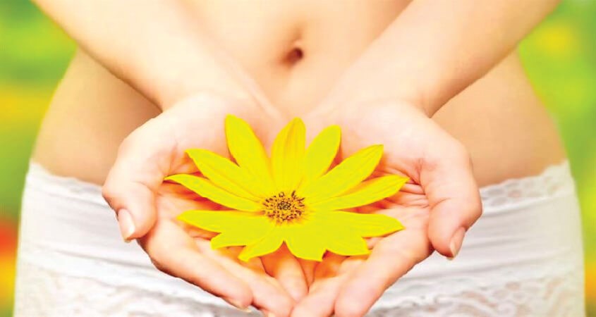 Những lưu ý khi sử dụng Những lưu ý khi sử dụng