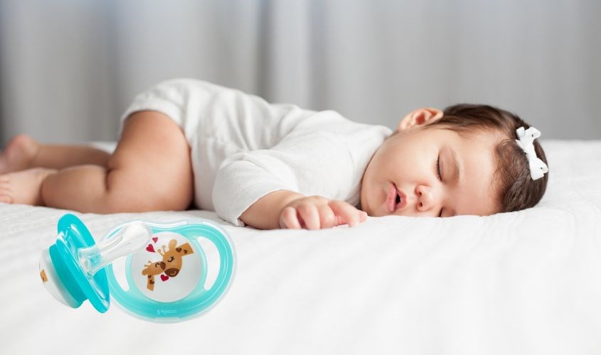 Ti ngậm Pigeon size L