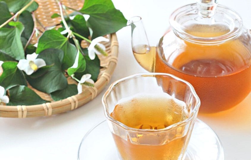 Trị mụn bằng diếp cá và mật ong