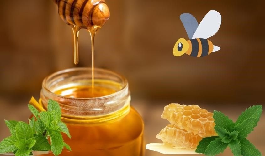Hỗn hợp mật ong và bạc hà giúp trị thâm mắt