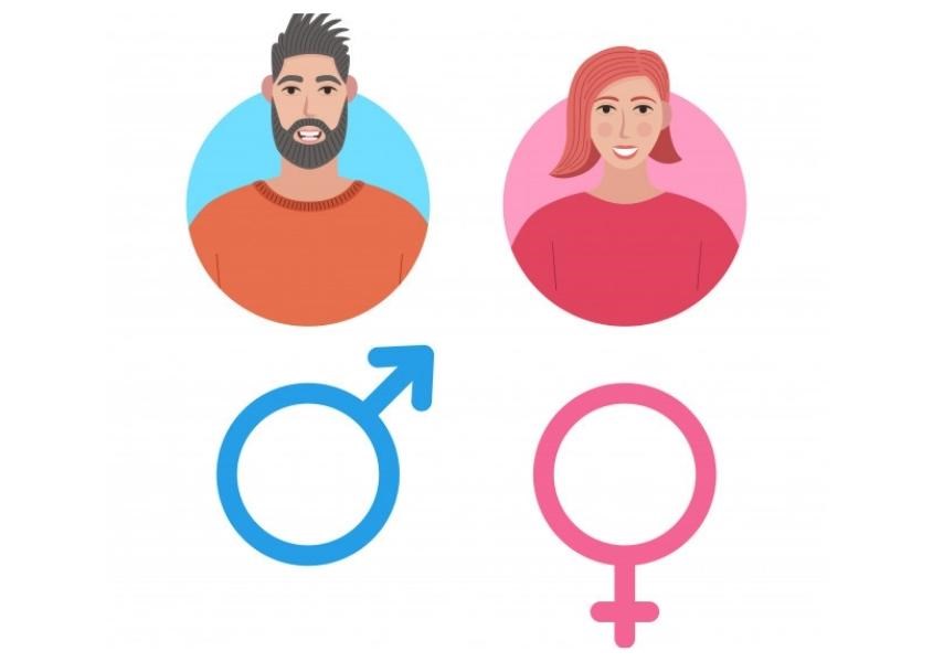 Nội tiết tố trong cơ thể trẻ sẽ ảnh hưởng đến vấn đề tự miễn dịch. Nguồn từ familyandmedia