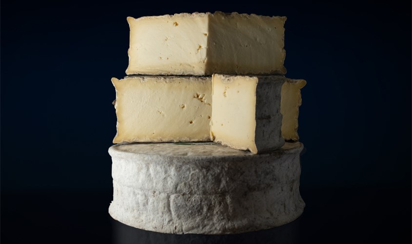 Phô mai cứng Caerphilly phù hợp với mẹ bầu