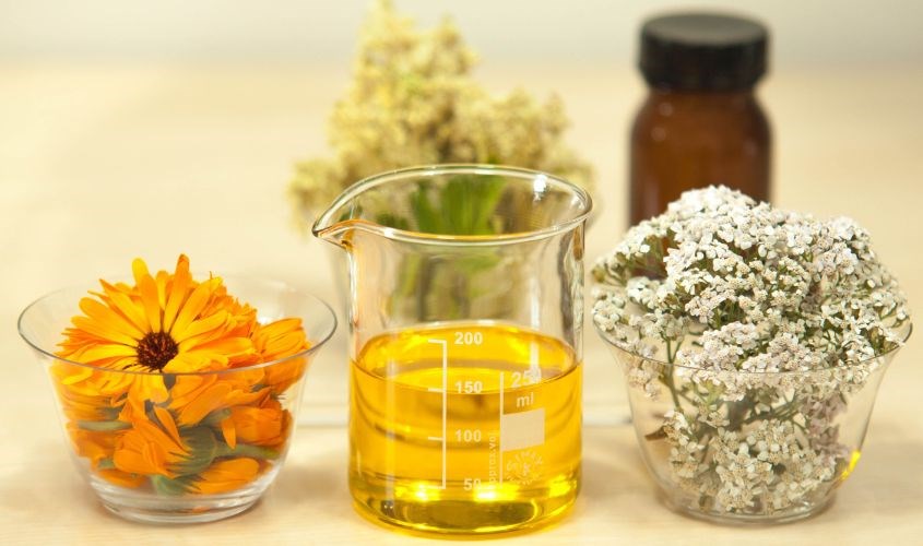 Dầu Jojoba giúp dưỡng ẩm cho da