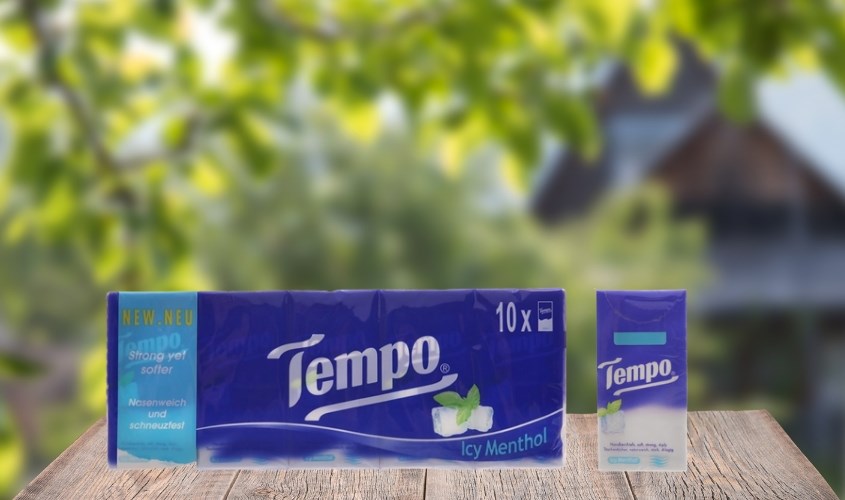 Lốc 10 gói khăn giấy bỏ túi Tempo hương bạc hà 4 lớp