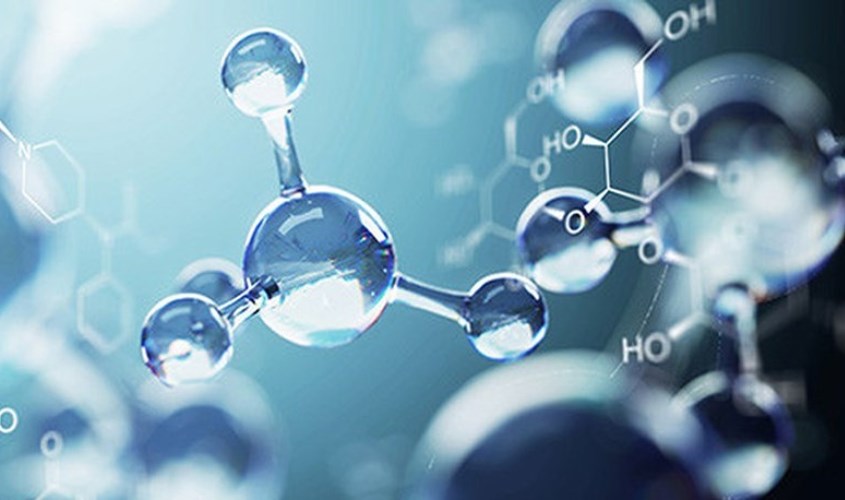 Cholesterol đóng vai trò như chất chống oxy hoá