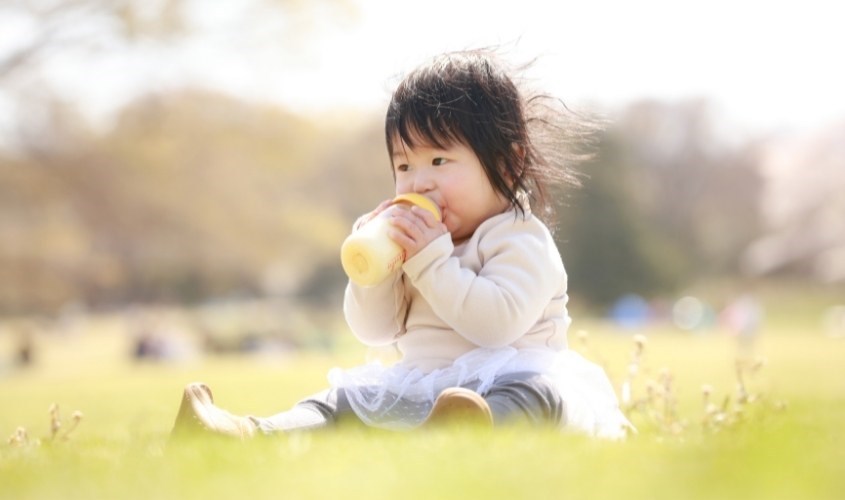 Một ly sữa hạt có thể bổ sung tới 35% năng lượng cho bé