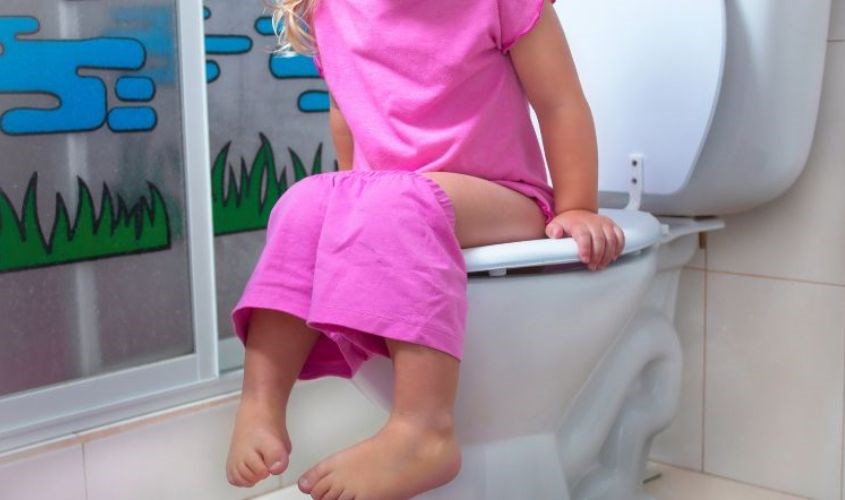 Sức nặng của cơ thể tác động lên lâu ngày là nguyên nhân chủ yếu khiến nắp bồn cầu bị hư hỏng