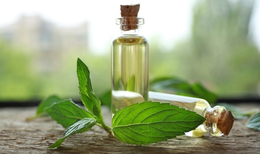 Tinh dầu bạc hà