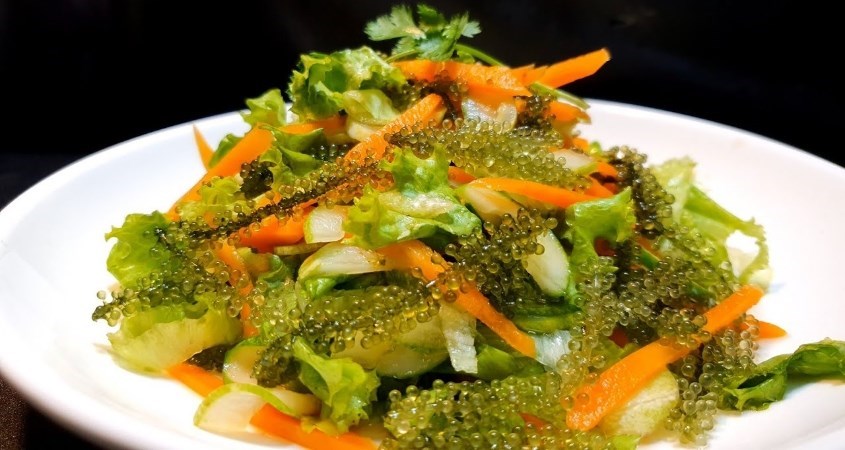Một số lưu ý khi sử dụng rong nho Một số lưu ý khi sử dụng rong nho