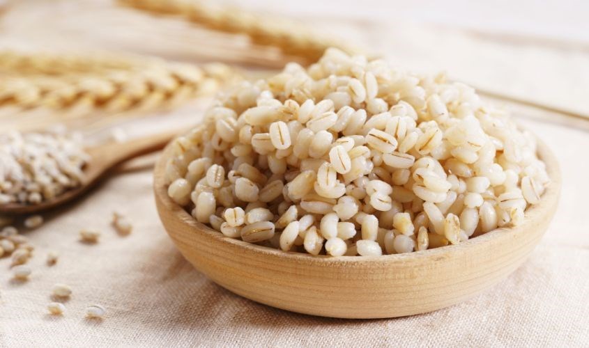 Lúa mạch giàu chất dinh dưỡng