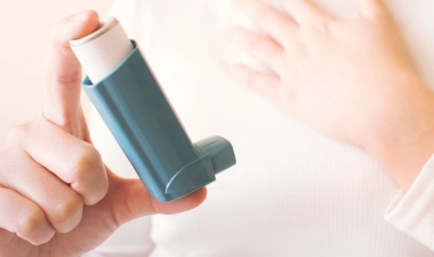 Lúa mạch giảm tình trạng hen suyễn Lúa mạch giảm tình trạng hen suyễn