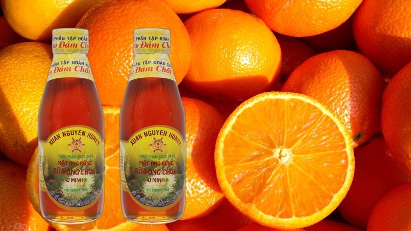 Mật ong rừng nguyên chất pha sữa ong chúa U Minh Xuân Nguyên 200 ml