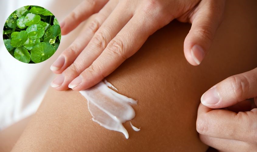 Có khả năng làm lành vết thương Có khả năng làm lành vết thương