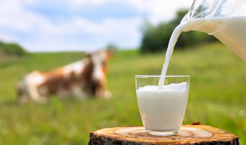 Sữa tươi có nhiều công dụng làm đẹp da mặt